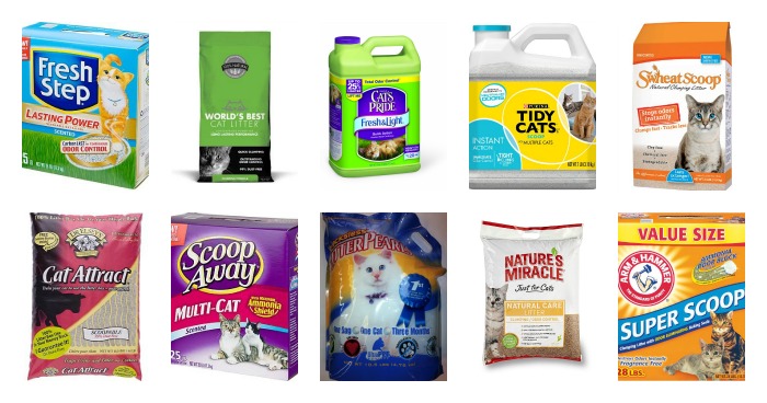 Cat litter brands