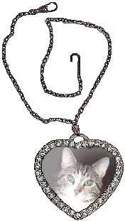 Locket frame with Katzenberg