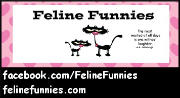 Feline Funnies