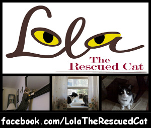 Lola the Rescued Cat