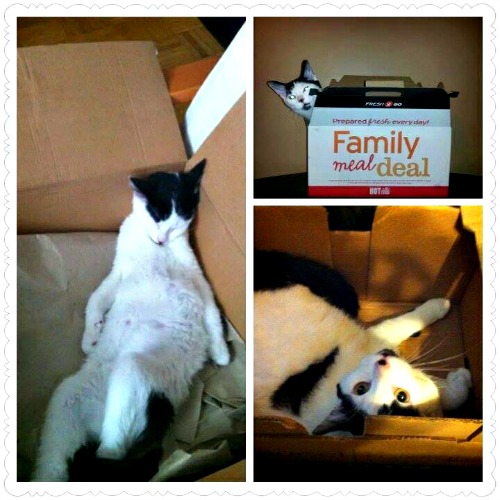 Max in boxes