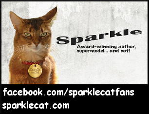 Sparkle the Designer Cat