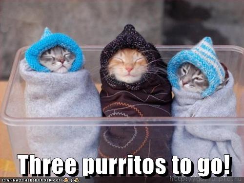 3 purritos to go